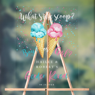 アイスクリームジェンダーがパーティー記号を表示 アクリルサイン