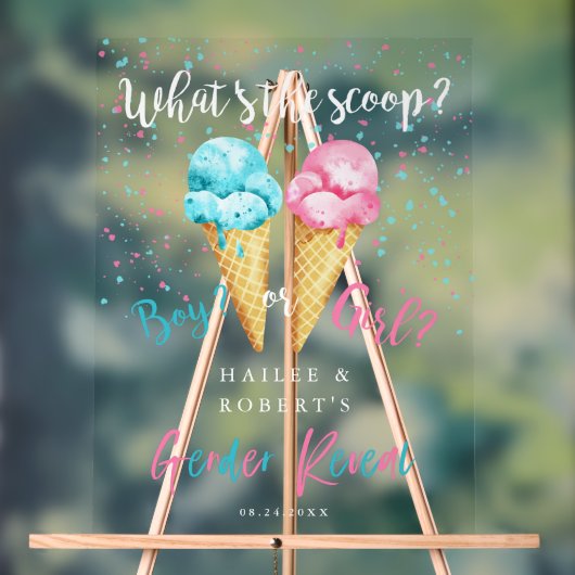 アイスクリームジェンダーがパーティー記号を表示 アクリルサイン (ニュートラル)