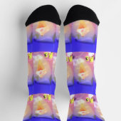 アイスクリームドリーム ソックス (上部)