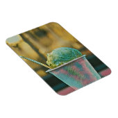 アイスクリームレシピ マグネット (右側)