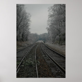 アイスクロッシングII ポスター