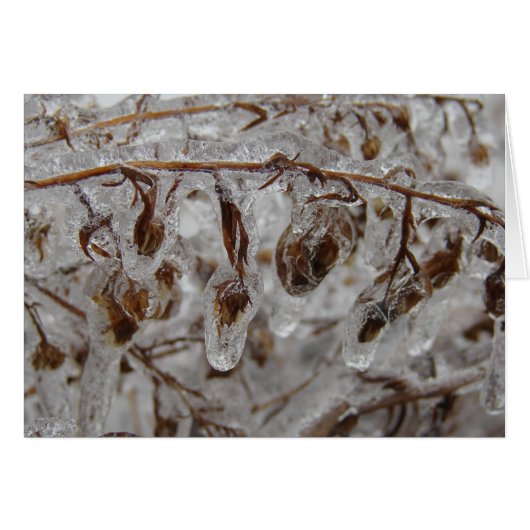 アイスコーティング (正面横)