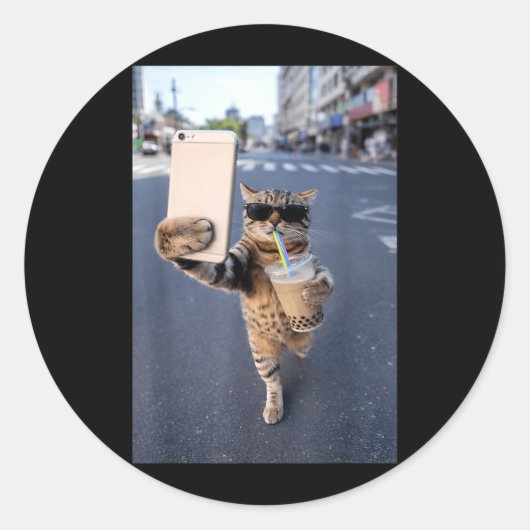アイスコーヒーでセルフィーを撮る猫の面白い猫のミーム 動物 ラウンドシール (正面)