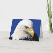 アイススケートしている北極の無秩序 シーズンカード (裏面)