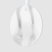 アイススケート オーナメント (正面)