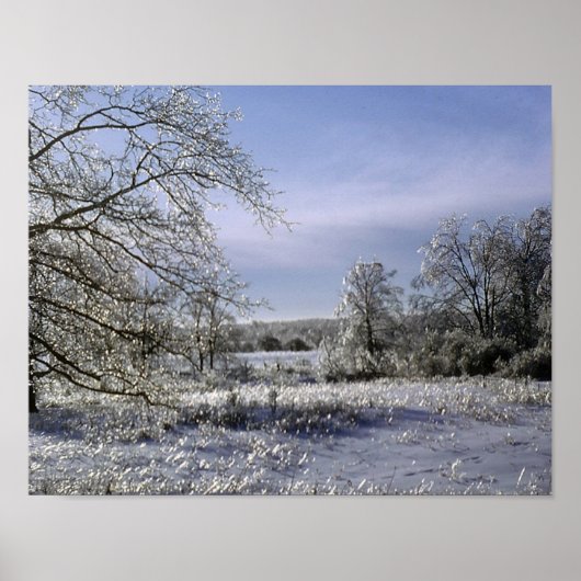 アイスストームが森を照らす ポスター (正面)