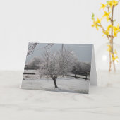 アイスストーム カード (黄色い花)