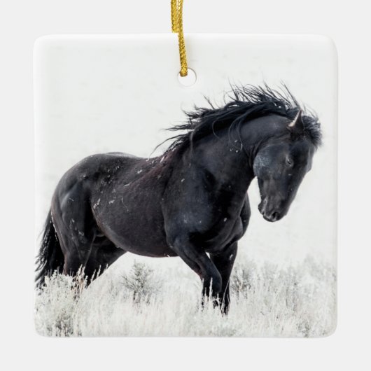 「アイスダンサー」オーナメント セラミックオーナメント (正面)