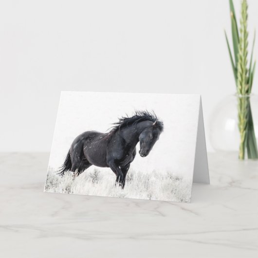 「アイスダンサー」ホリデーカード カード (正面)