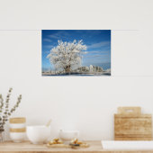 アイスツリー ポスター (キッチン)