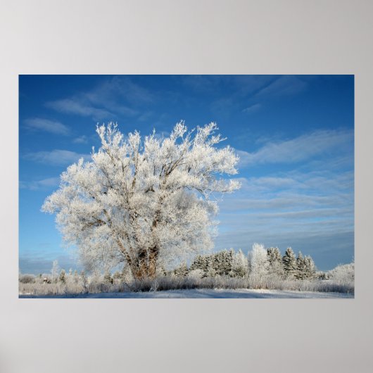 アイスツリー ポスター (正面)