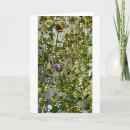 アイスティスル&クローバー カード