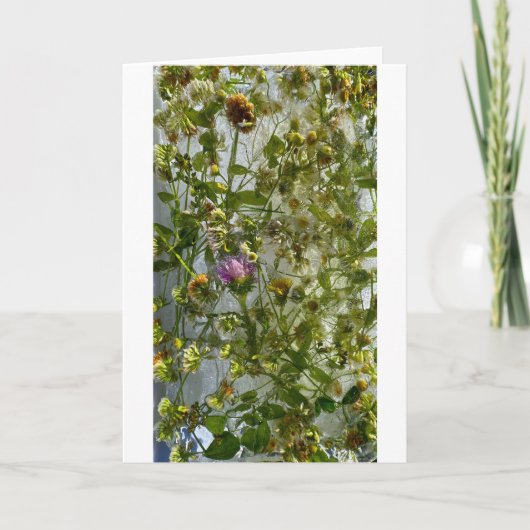 アイスティスル&クローバー カード (正面)