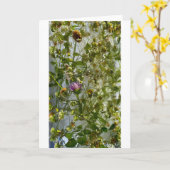 アイスティスル&クローバー カード (黄色い花)