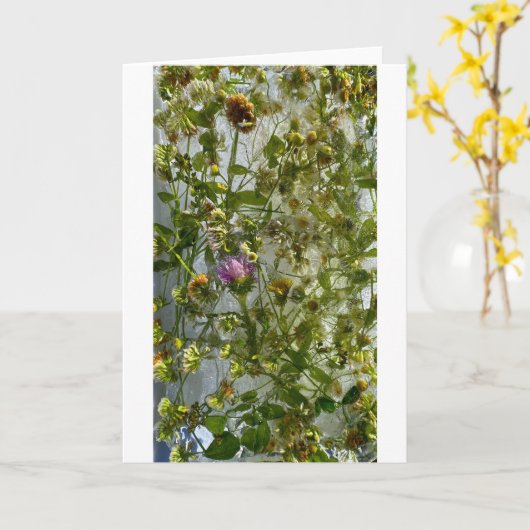 アイスティスル&クローバー カード (黄色い花)