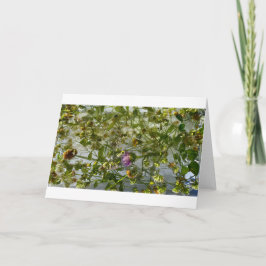 アイスティスル&クローバー カード