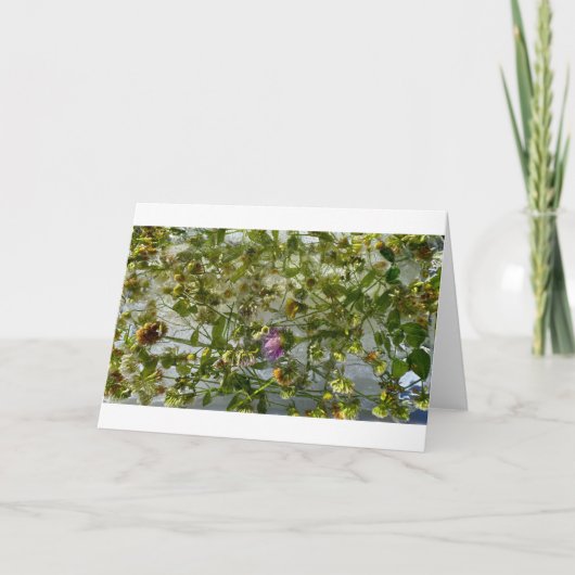 アイスティスル&クローバー カード (正面)