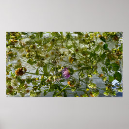 アイスティスル&クローバー ポスター