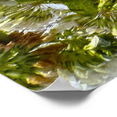 アイスティスル&クローバー ポスター (角)