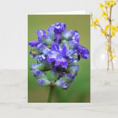 アイスティパープル、カード カード (黄色い花)