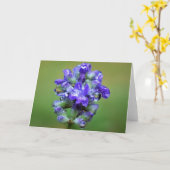 アイスティパープル、カード カード (黄色い花)