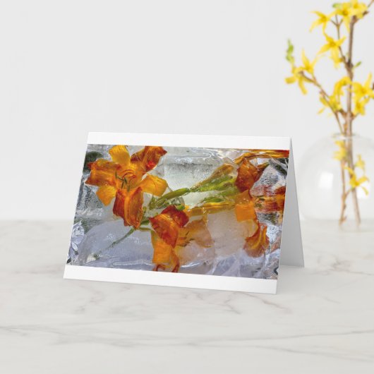 アイスティリリー カード (黄色い花)