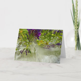 アイスティリリー カード