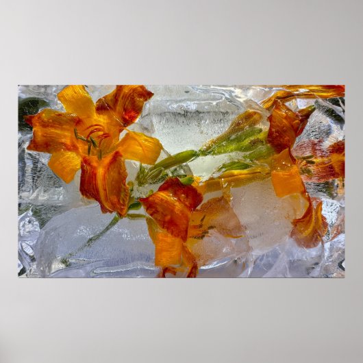 アイスティリリー ポスター (正面)