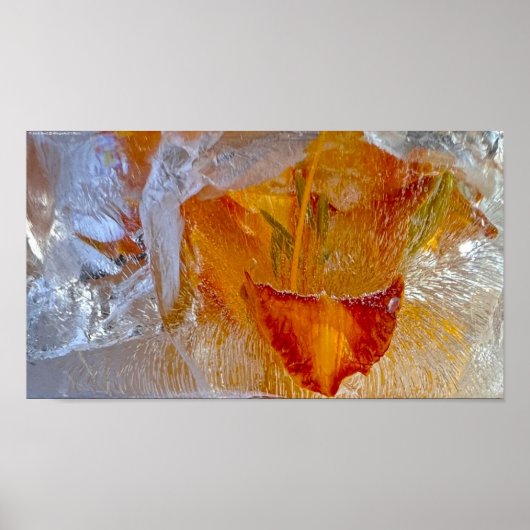 アイスティリリー ポスター (正面)