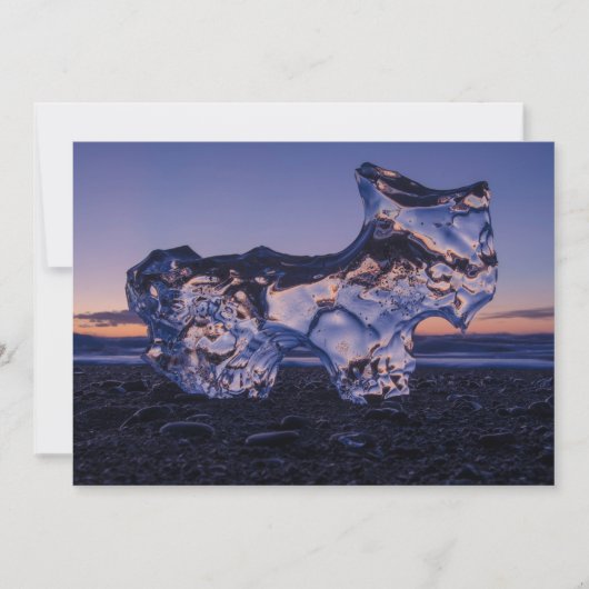 アイスドッグ又はヤギ シーズンカード (正面)