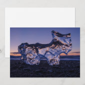 アイスドッグ又はヤギ シーズンカード (正面/裏面)