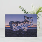 アイスドッグ又はヤギ シーズンカード (スタンド正面)