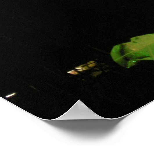 アイスドラゴン ポスター (角)