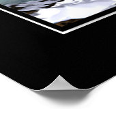 アイスドルフィンズ ポスター (角)