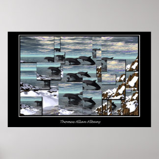 アイスドルフィンズ ポスター