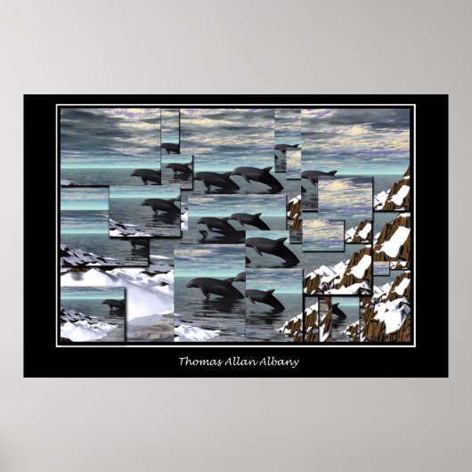 アイスドルフィンズ ポスター (正面)