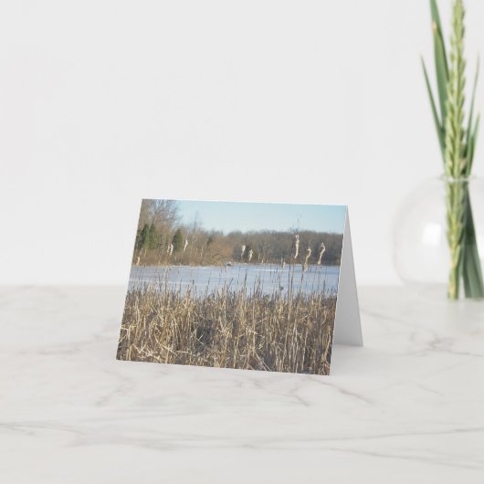 アイスノートカードのスキマウント池 カード (正面)