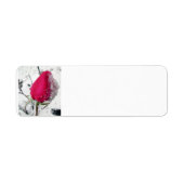 アイスバラ ラベル (正面)