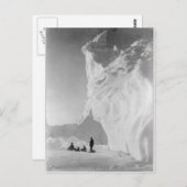 アイスバーグが休憩する犬ぞりチーム ポストカード (正面/裏面)