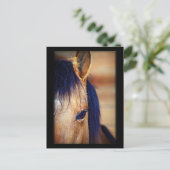 アイスパイ – はがき (スタンド正面)