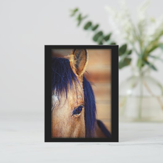 アイスパイ – はがき (スタンド正面)