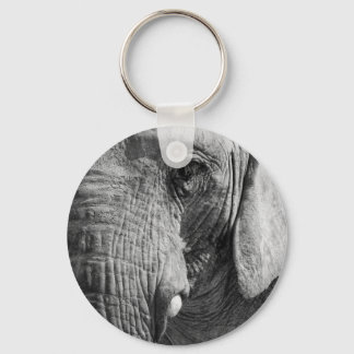 アイスパイ キーホルダー