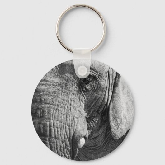 アイスパイ キーホルダー (正面)