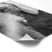 アイスパイ フォトプリント            (角)