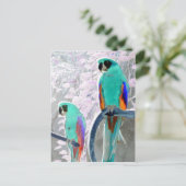 アイスパロッツ ポストカード (スタンド正面)