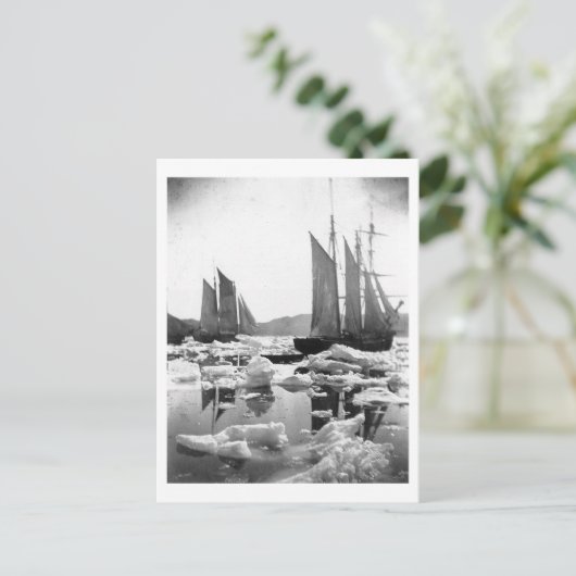 アイスフィールドでの帆走船 – 1869写真 ポストカード (スタンド正面)