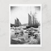 アイスフィールドでの帆走船 – 1869写真 ポストカード (正面)