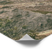 アイスフィールドパークウェイロード ポスター (角)