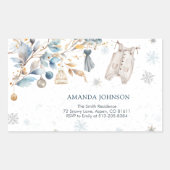 アイスブルーのLittle Snowflake Clothesline Envelope 長方形シール (正面)