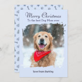 アイスブルーウィンタードッグママカスタムペット写真クリスマス シーズンカード (正面/裏面)